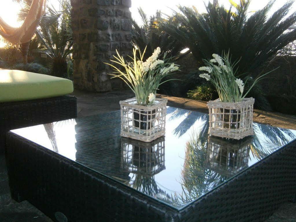 Casa Das Proteas Đảo São Jorge Ngoại thất bức ảnh