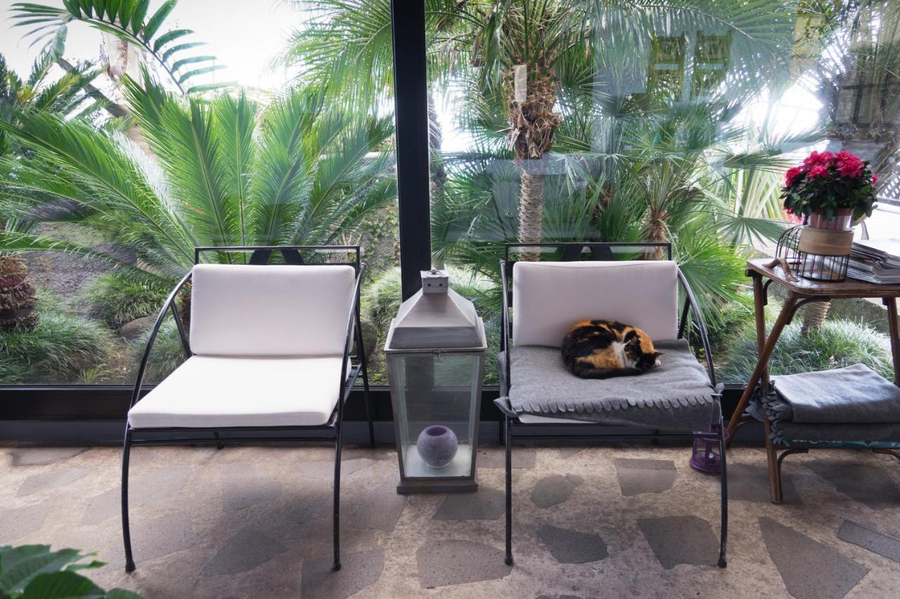 Casa Das Proteas Đảo São Jorge Ngoại thất bức ảnh