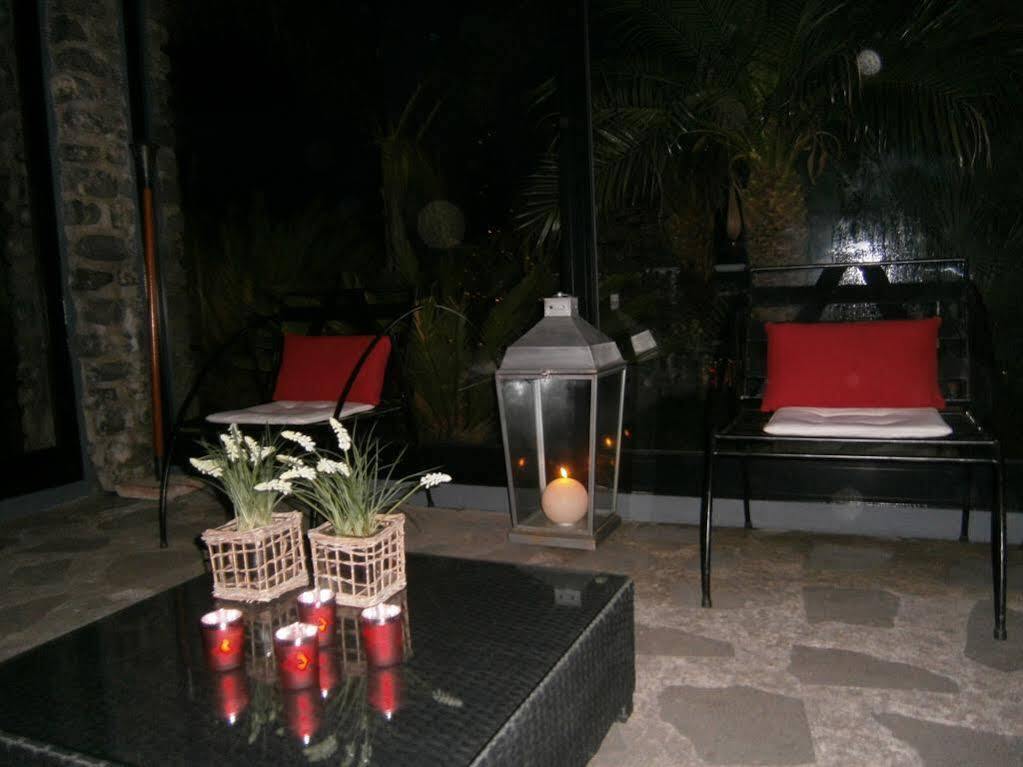Casa Das Proteas Đảo São Jorge Ngoại thất bức ảnh